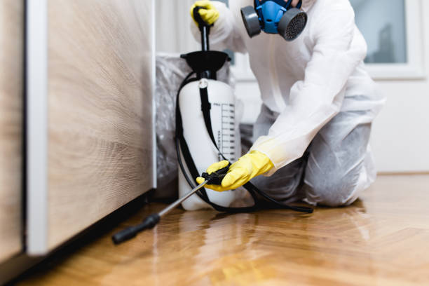 Best Pest Control Near Me in Shepherd, MI