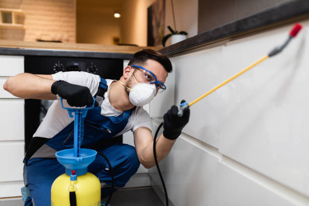 Best Best Pest Control Companies  in Shepherd, MI