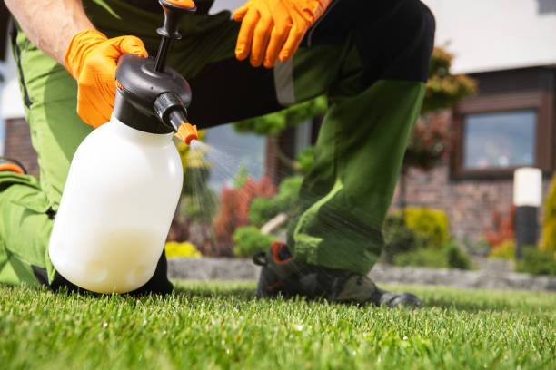 Best Bird Control  in Shepherd, MI