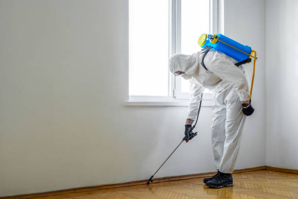 Best Cockroach Control Services  in Shepherd, MI