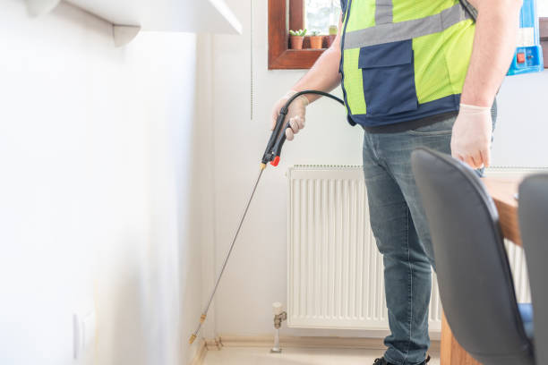 Best Local Pest Control Services  in Shepherd, MI