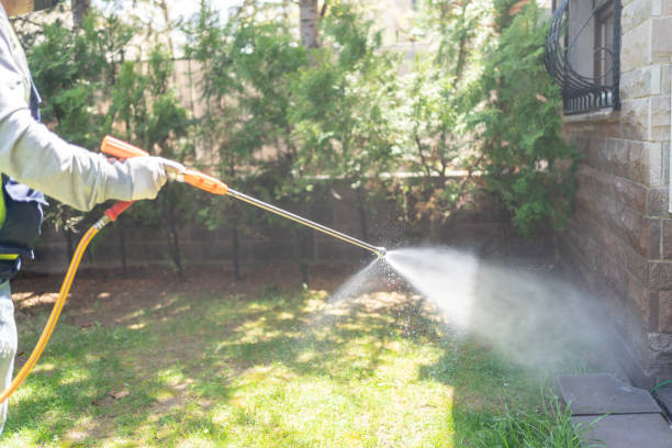 Best Pest Inspection Near Me  in Shepherd, MI