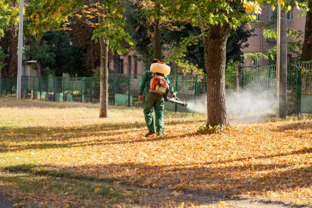 Best Mosquito Control Services  in Shepherd, MI
