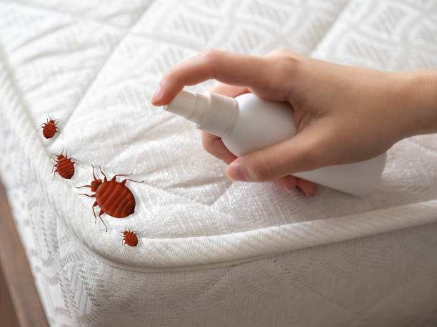Best Bed Bug Extermination  in Shepherd, MI
