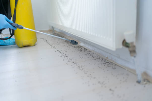 Professional Pest Control in Shepherd, MI