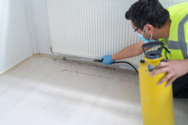 Best Termite Control Services  in Shepherd, MI